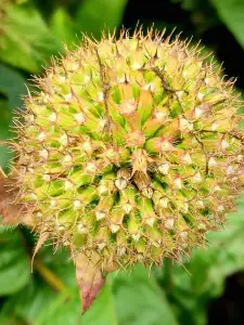 Allet 05 Tuin van het Singer Museum